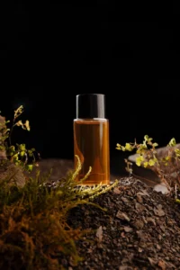 Moonlit Oud - Image 2